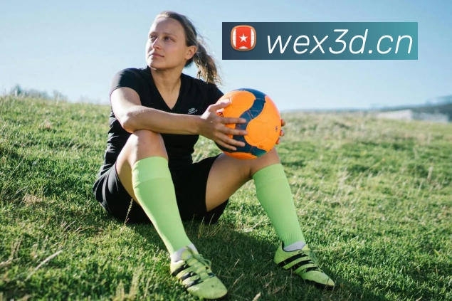 米兰网官网登录入口发展历程